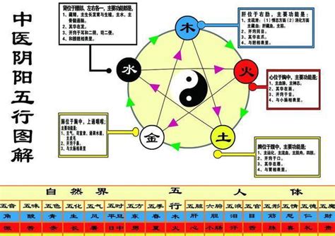 老师五行属什么|教师职业的五行属性